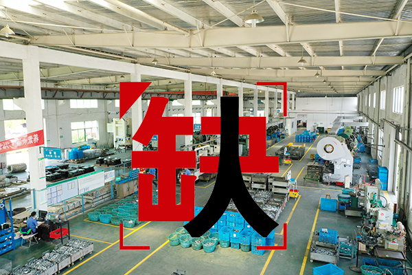 對開文件柜 